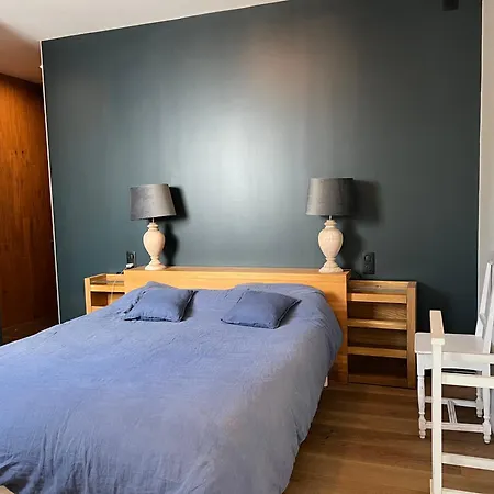 Beautiful South-facing Architect's House! Quimiac