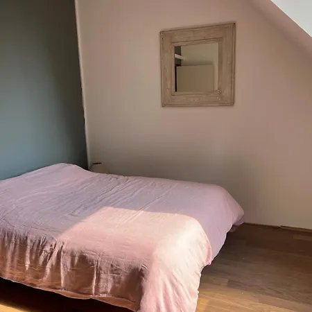 Beautiful South-facing Architect's House! Quimiac