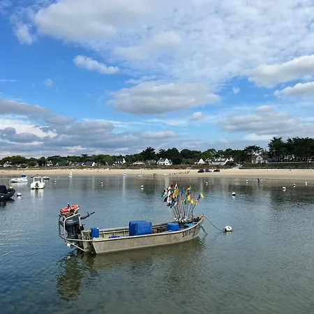 Beautiful South-facing Architect's House!