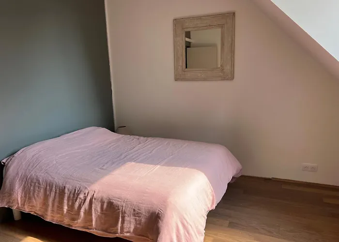 Beautiful South-facing Architect's House! Quimiac